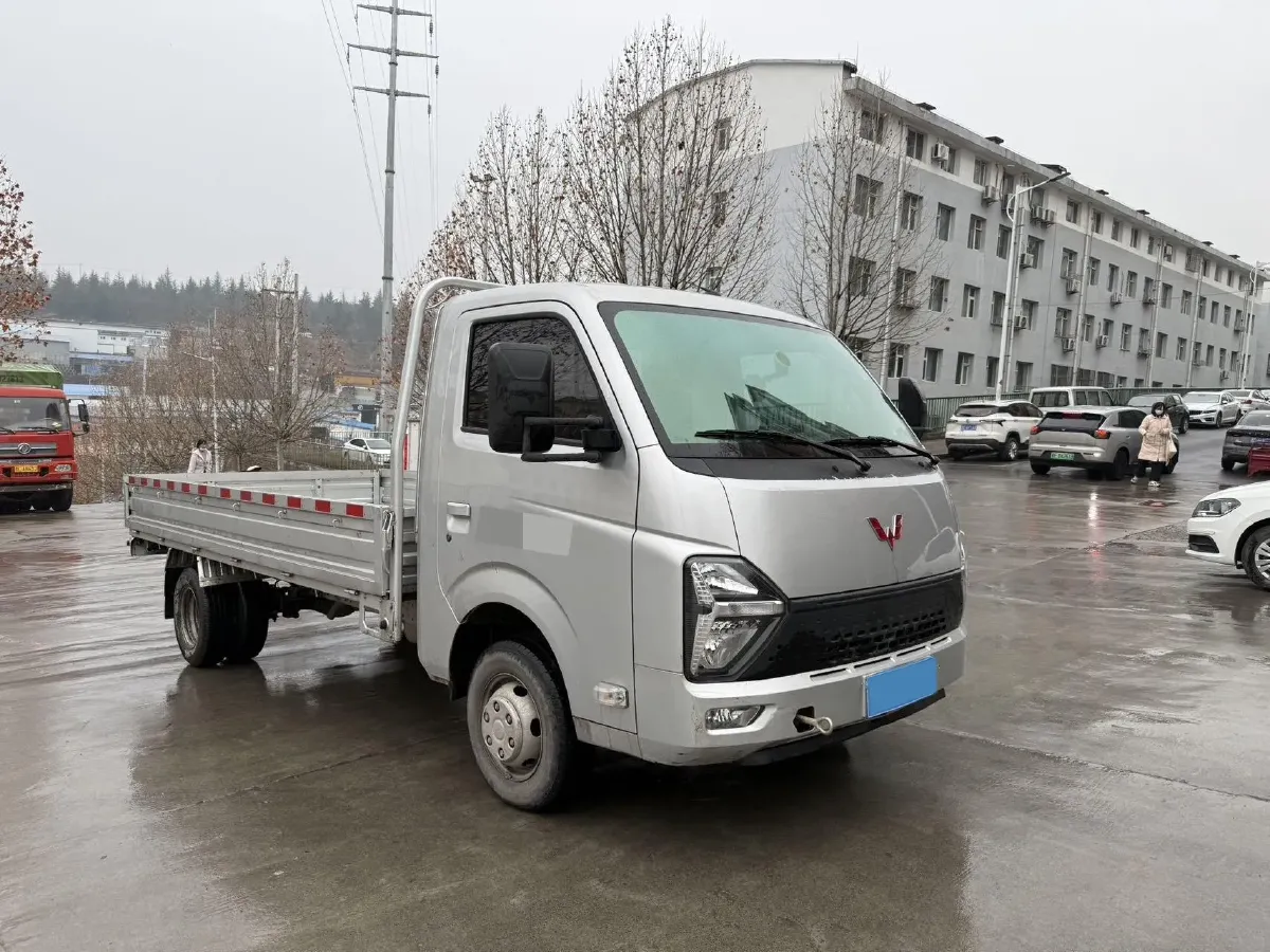 2023 WuLing RongGuang New Truck 2.0L 136HP L4 5MT,autocango,china used car exporter,china ev exporter,chinese used car exporter,chinese used ev exporter