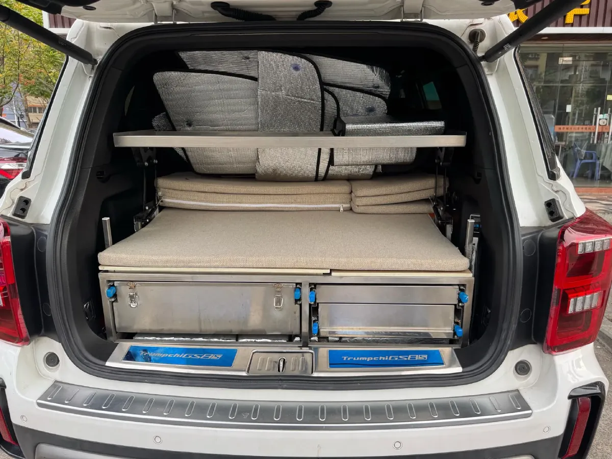 2020 GAC Trumpchi GS8 2.0T 252HP L4 6AT,autocango,china used car exporter,china ev exporter,chinese used car exporter,chinese used ev exporter