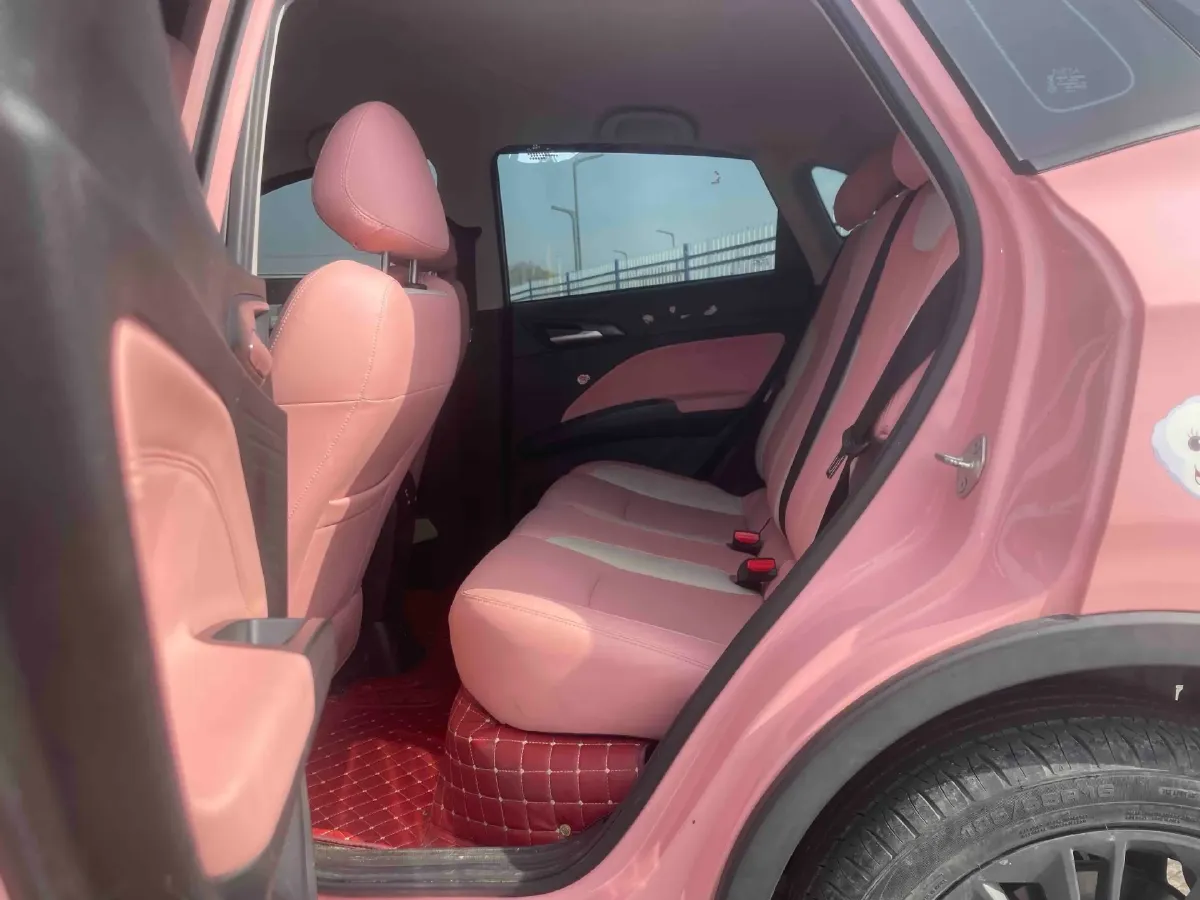 2021 Neta V BEV 38.54KWH,autocango,china used car exporter,china ev exporter,chinese used car exporter,chinese used ev exporter