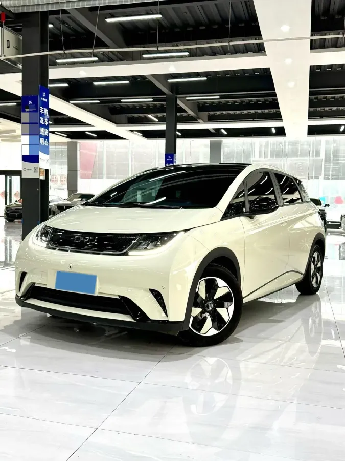 2024 BYD Dolphin BEV 44.928KWH,autocango,china used car exporter,china ev exporter,chinese used car exporter,chinese used ev exporter