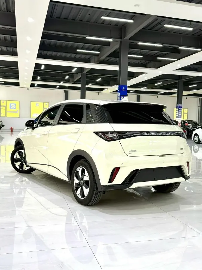 2024 BYD Dolphin BEV 44.928KWH,autocango,china used car exporter,china ev exporter,chinese used car exporter,chinese used ev exporter