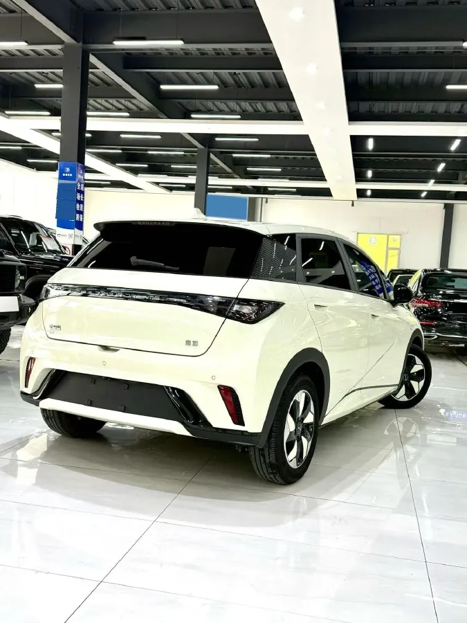 2024 BYD Dolphin BEV 44.928KWH,autocango,china used car exporter,china ev exporter,chinese used car exporter,chinese used ev exporter