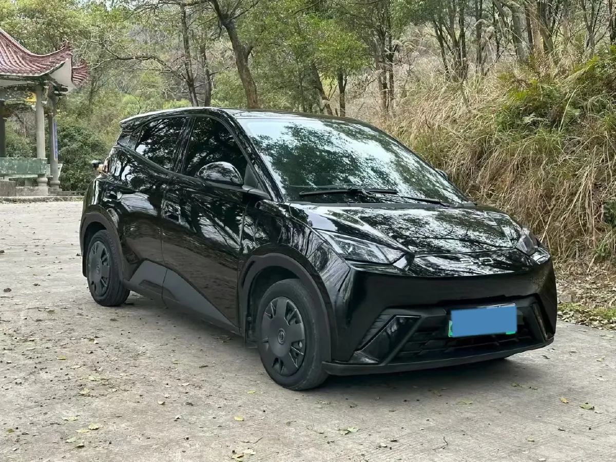 2023 BYD Seagull BEV 30.08KWH,autocango,china used car exporter,china ev exporter,chinese used car exporter,chinese used ev exporter