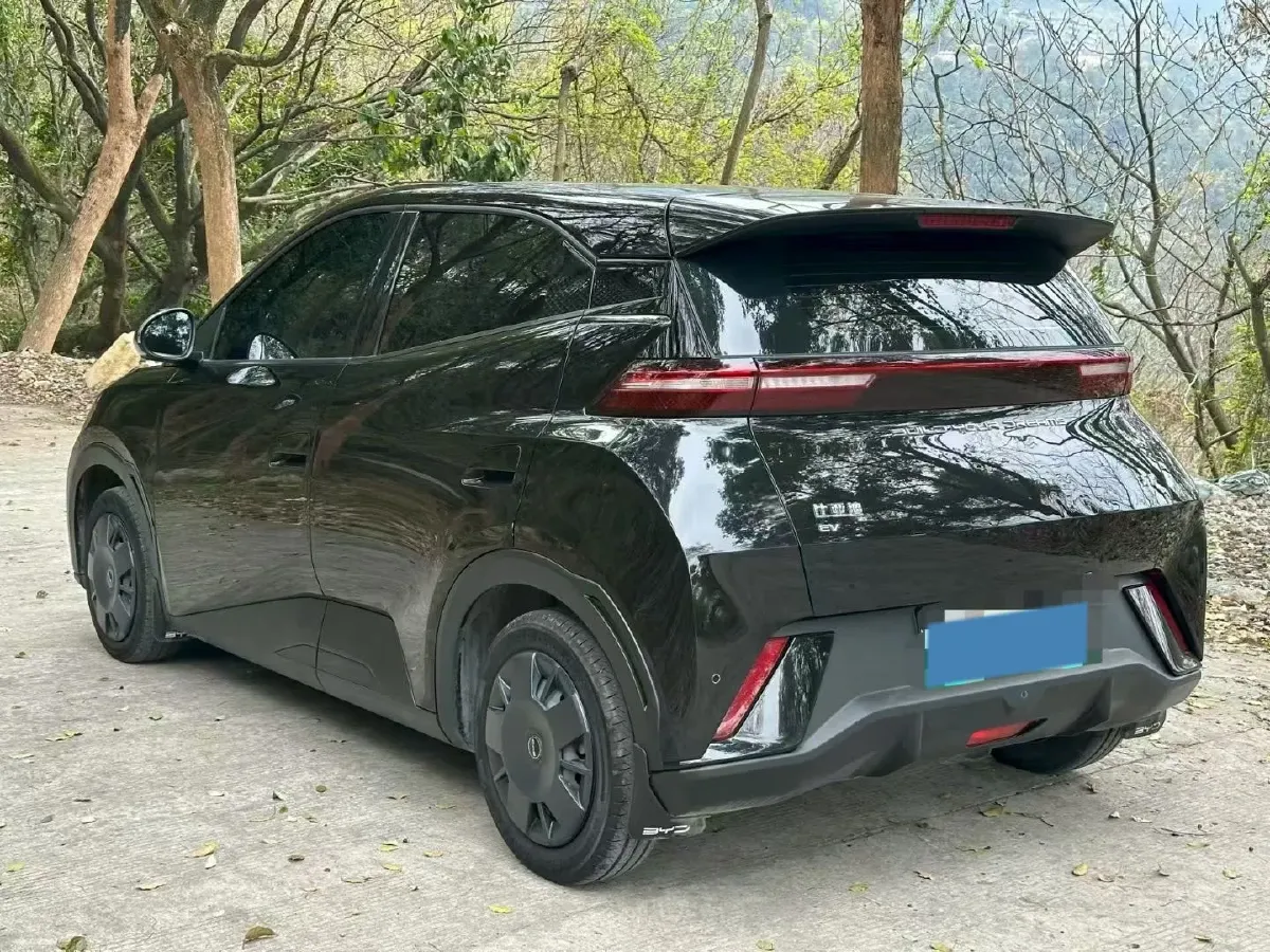 2023 BYD Seagull BEV 30.08KWH,autocango,china used car exporter,china ev exporter,chinese used car exporter,chinese used ev exporter
