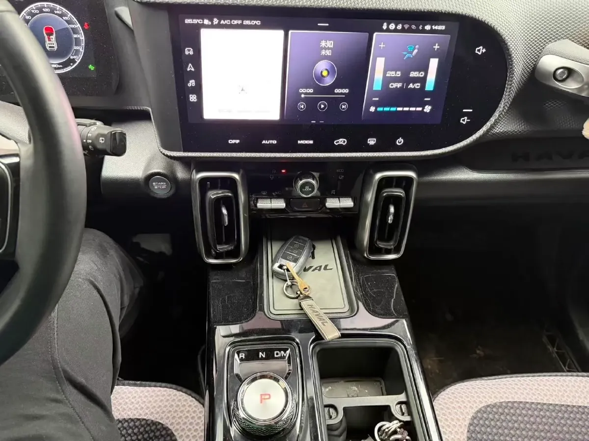 2021 Haval Dargo 1.5T 169HP L4 7DCT,autocango,china used car exporter,china ev exporter,chinese used car exporter,chinese used ev exporter