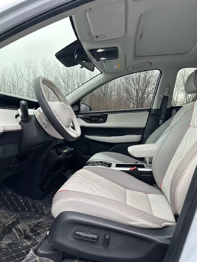 2024 Honda e:NS2 BEV 68.8KWH,autocango,china used car exporter,china ev exporter,chinese used car exporter,chinese used ev exporter