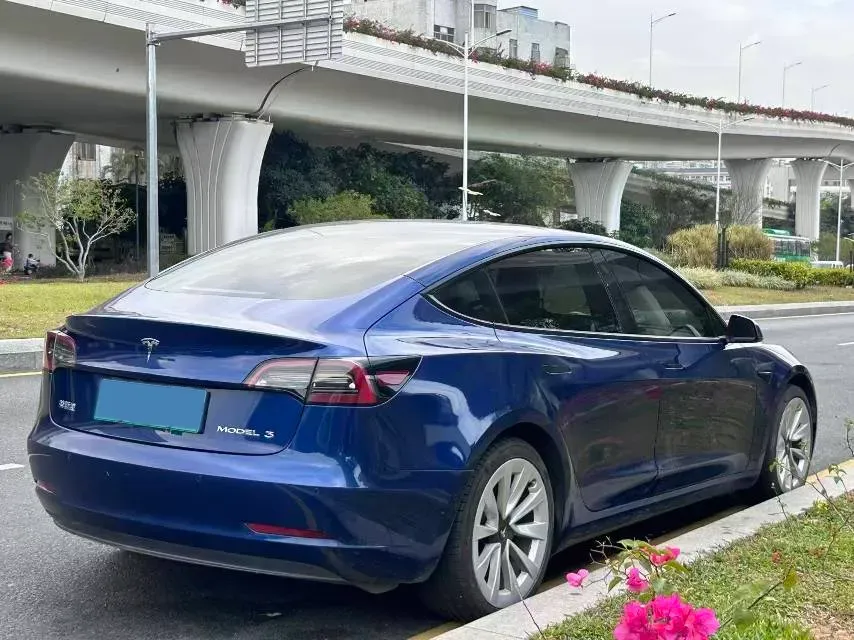 2021 Tesla Model 3 BEV 55KWH,autocango,china used car exporter,china ev exporter,chinese used car exporter,chinese used ev exporter