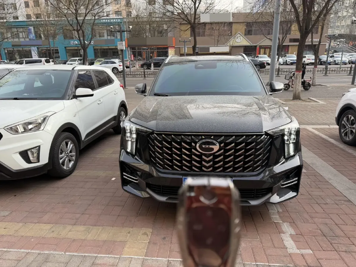2024 GAC Trumpchi GS8 2.0T 252HP L4 8AT,autocango,china used car exporter,china ev exporter,chinese used car exporter,chinese used ev exporter