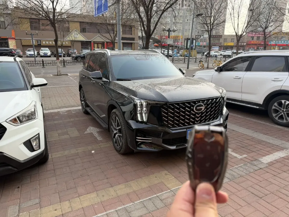 2024 GAC Trumpchi GS8 2.0T 252HP L4 8AT,autocango,china used car exporter,china ev exporter,chinese used car exporter,chinese used ev exporter