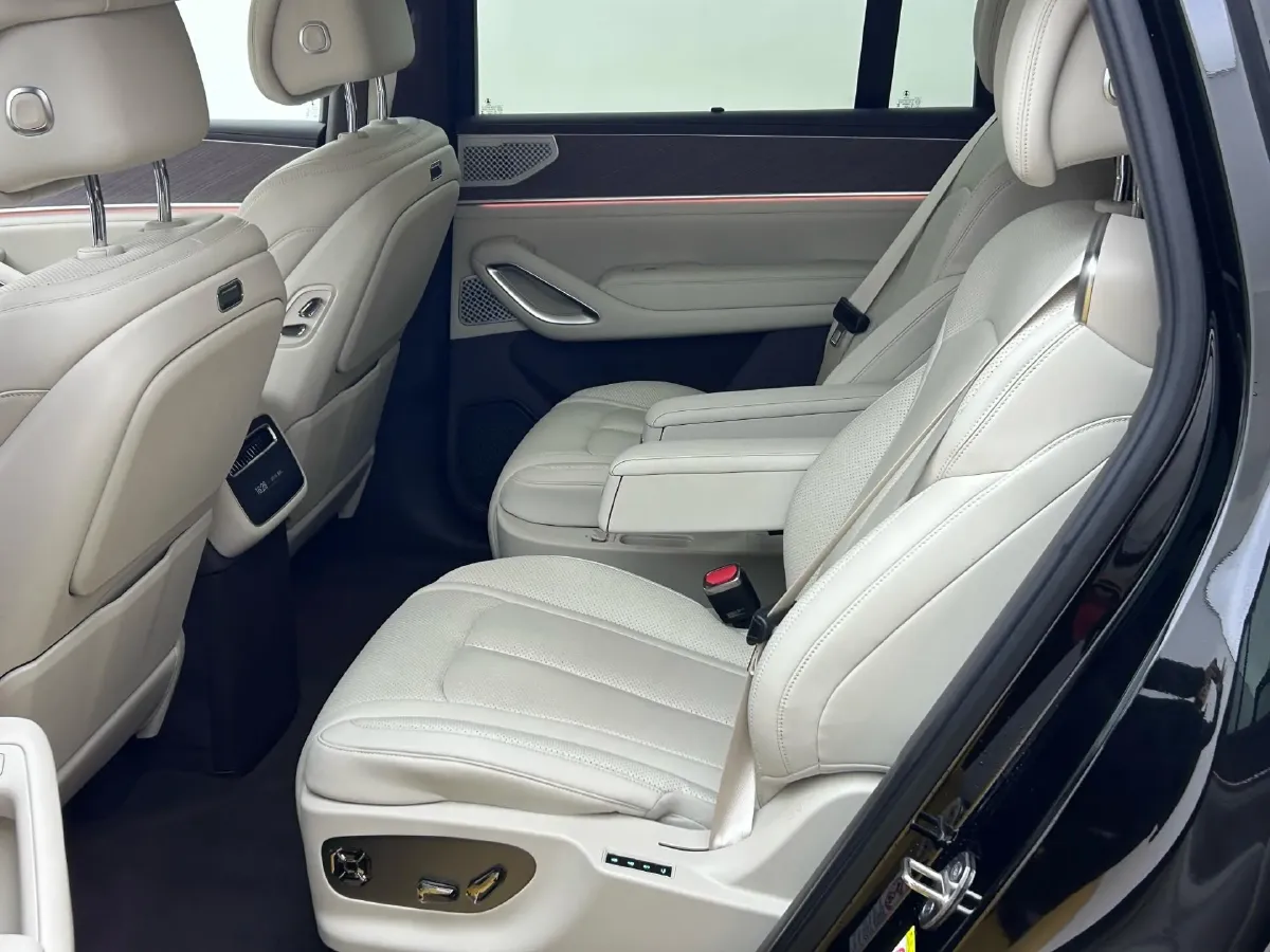 2026 Denza DenzaN9 2.0T 207HP L4 E-CVT PHEV,autocango,china used car exporter,china ev exporter,chinese used car exporter,chinese used ev exporter