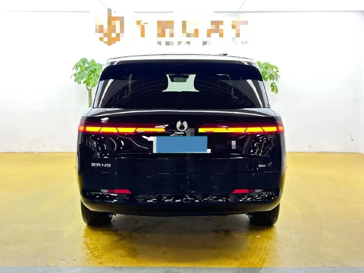 2026 Denza DenzaN9 2.0T 207HP L4 E-CVT PHEV,autocango,china used car exporter,china ev exporter,chinese used car exporter,chinese used ev exporter