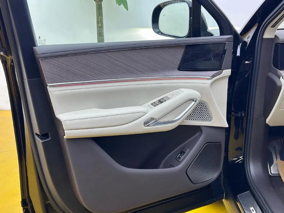 2026 Denza DenzaN9 2.0T 207HP L4 E-CVT PHEV,autocango,china used car exporter,china ev exporter,chinese used car exporter,chinese used ev exporter