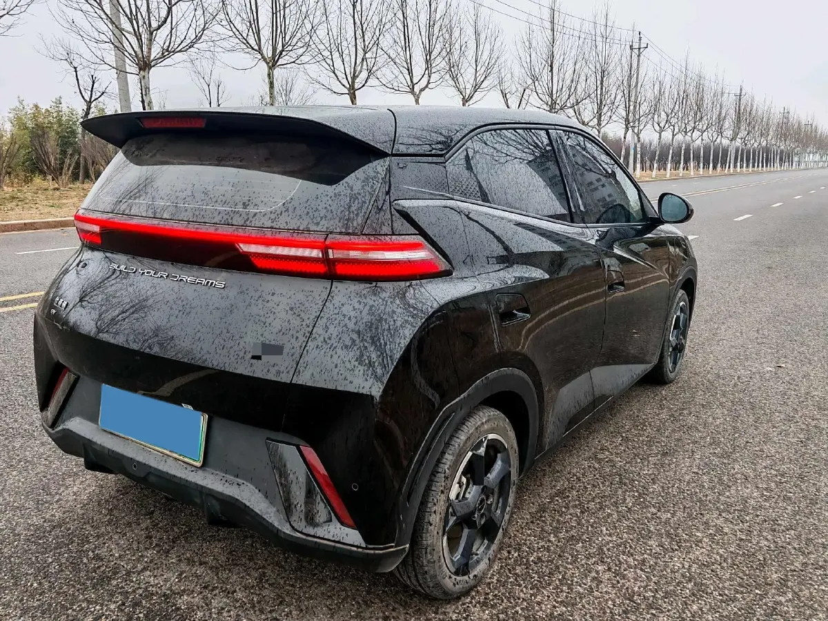 2024 BYD Seagull BEV 30.08KWH,autocango,china used car exporter,china ev exporter,chinese used car exporter,chinese used ev exporter