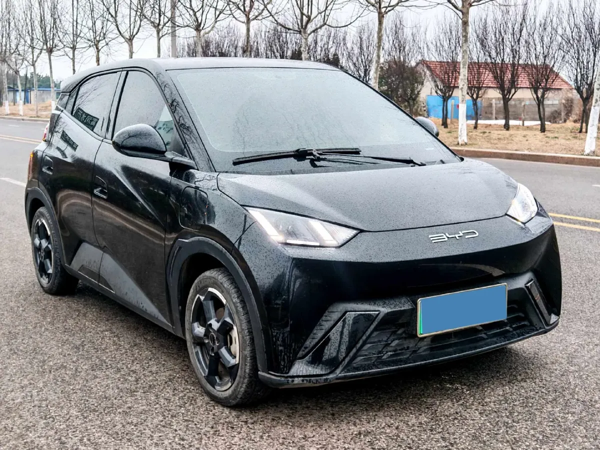 2024 BYD Seagull BEV 30.08KWH,autocango,china used car exporter,china ev exporter,chinese used car exporter,chinese used ev exporter