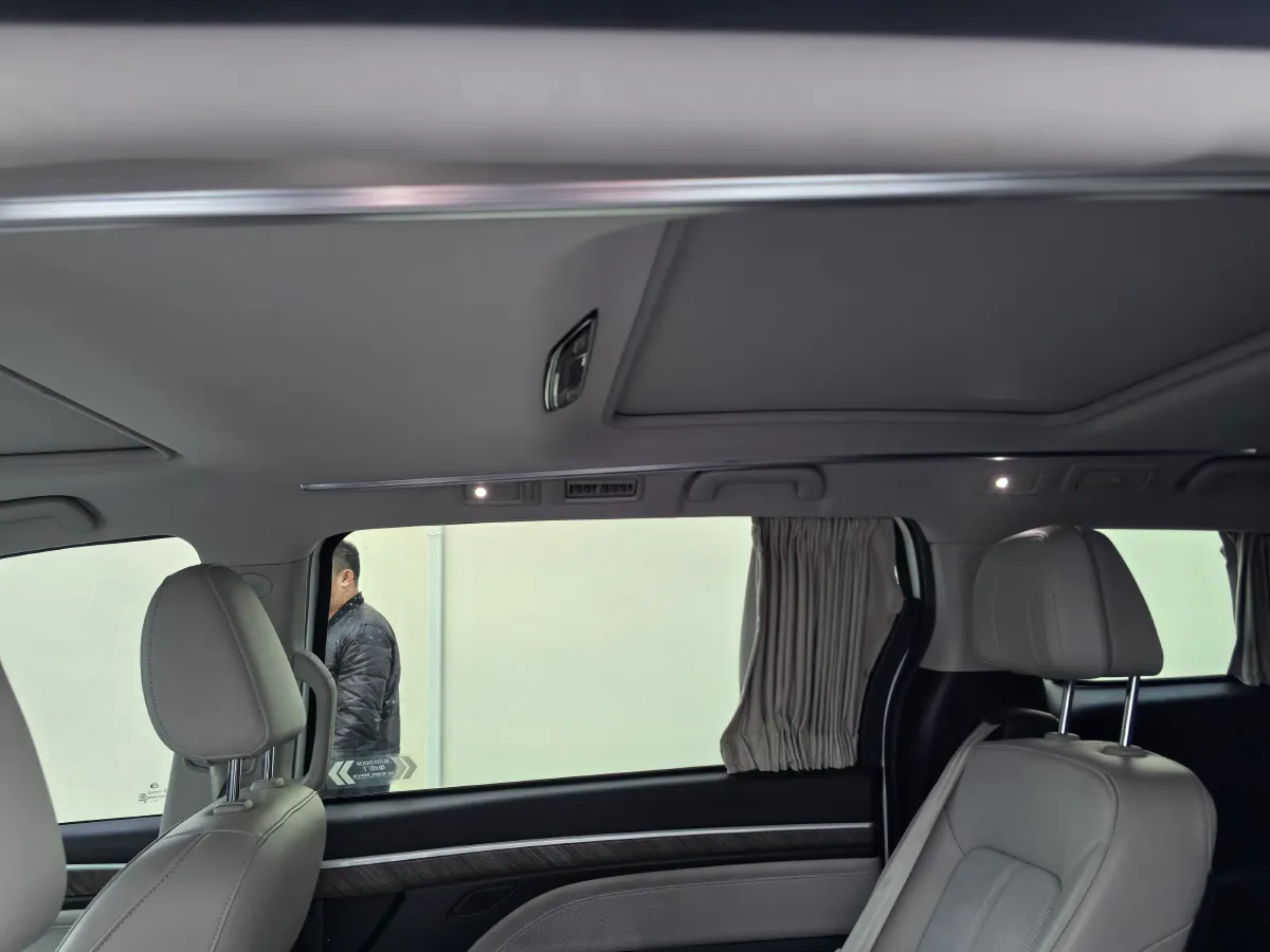 2021 GAC Trumpchi M8 2.0T 252HP L4 8AT,autocango,china used car exporter,china ev exporter,chinese used car exporter,chinese used ev exporter