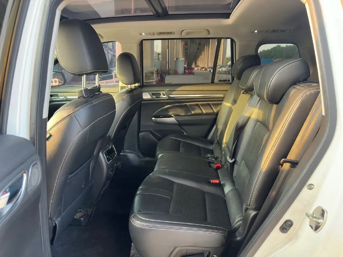 2020 GAC Trumpchi GS8 2.0T 252HP L4 6AT,autocango,china used car exporter,china ev exporter,chinese used car exporter,chinese used ev exporter