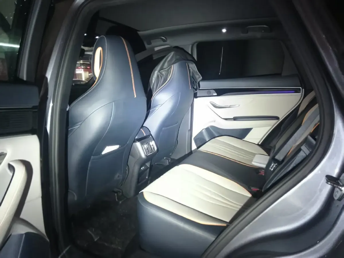 2021 SRM Sea Lion EV BEV 41.86KWH,autocango,china used car exporter,china ev exporter,chinese used car exporter,chinese used ev exporter