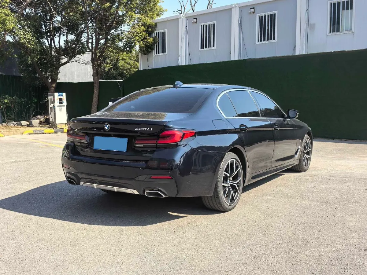 2021 BMW 5 Series 2.0T 252HP L4 8AT,autocango,china used car exporter,china ev exporter,chinese used car exporter,chinese used ev exporter