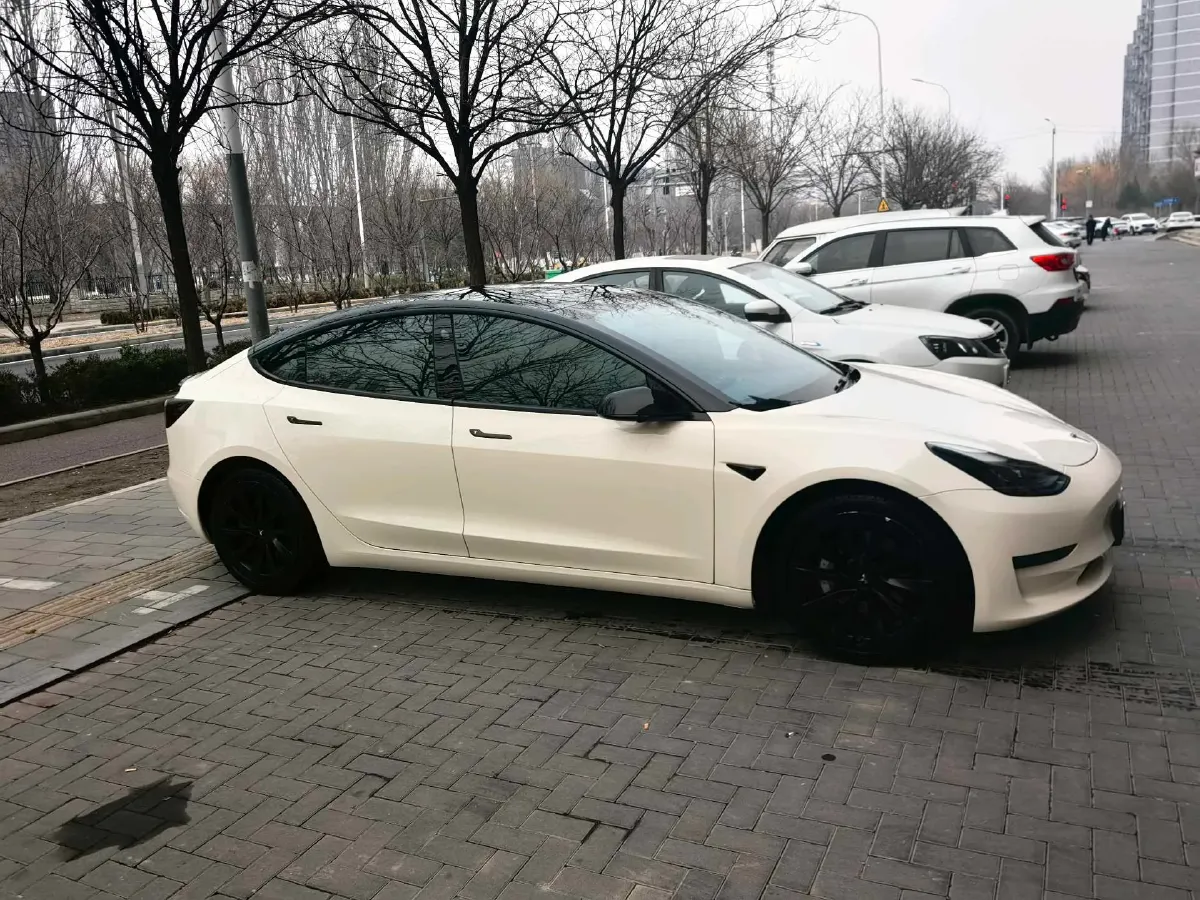 2022 Tesla Model 3 BEV 60KWH,autocango,china used car exporter,china ev exporter,chinese used car exporter,chinese used ev exporter