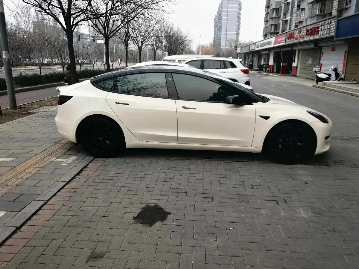 2022 Tesla Model 3 BEV 60KWH,autocango,china used car exporter,china ev exporter,chinese used car exporter,chinese used ev exporter