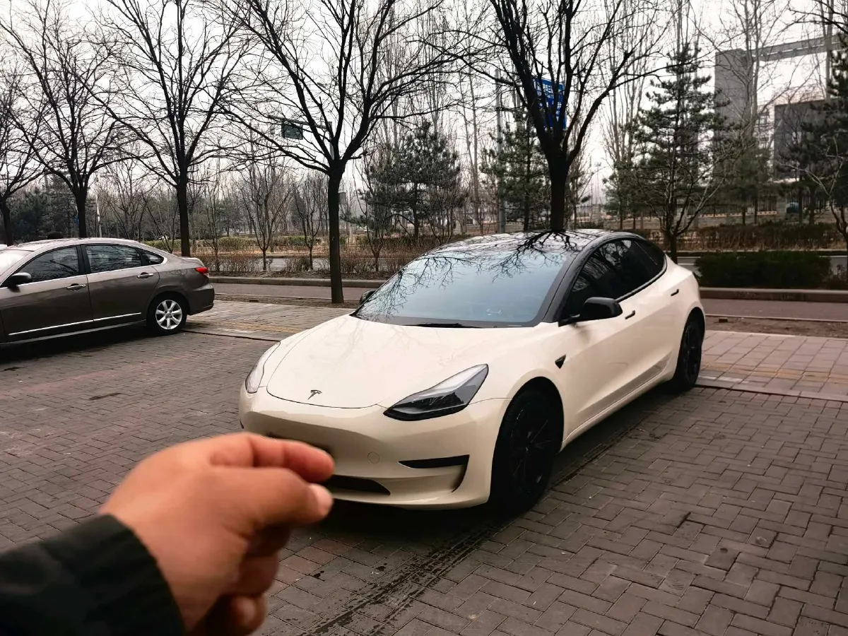 2022 Tesla Model 3 BEV 60KWH,autocango,china used car exporter,china ev exporter,chinese used car exporter,chinese used ev exporter