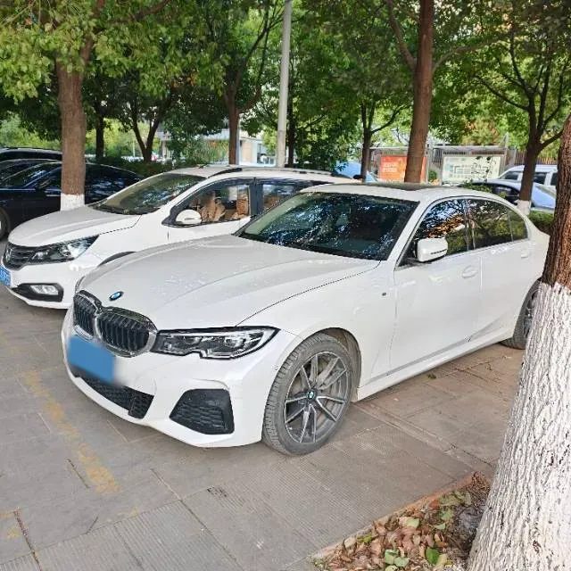 2022 BMW 3 Series 2.0T 184HP L4 8AT,autocango,china used car exporter,china ev exporter,chinese used car exporter,chinese used ev exporter