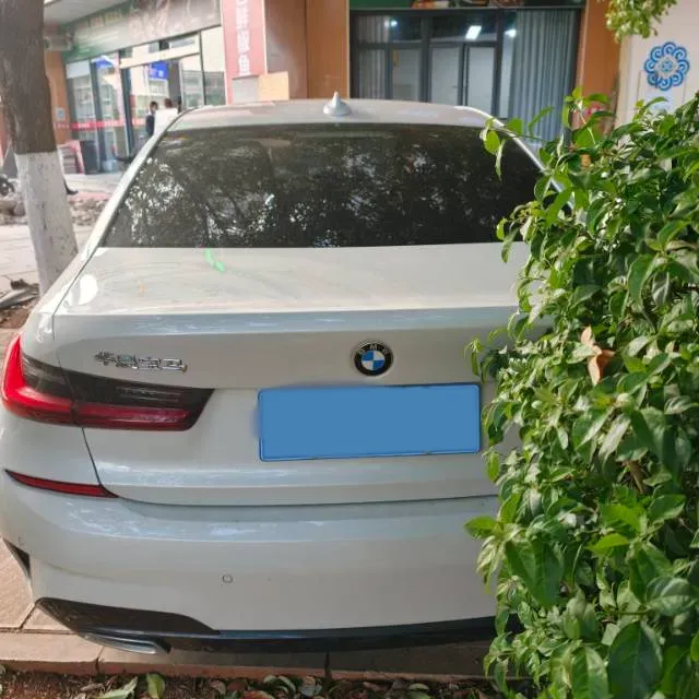 2022 BMW 3 Series 2.0T 184HP L4 8AT,autocango,china used car exporter,china ev exporter,chinese used car exporter,chinese used ev exporter