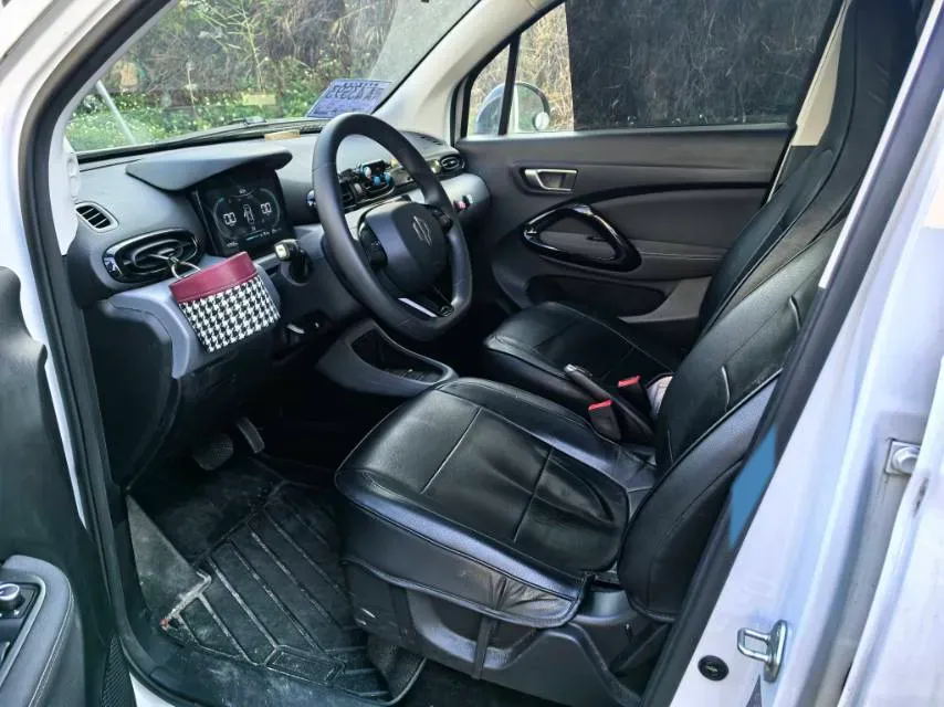 2021 Leapmotor T03 BEV 38KWH,autocango,china used car exporter,china ev exporter,chinese used car exporter,chinese used ev exporter