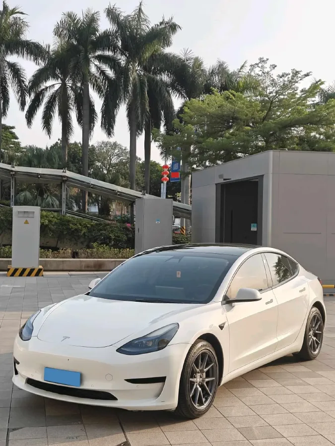 2021 Tesla Model 3 BEV 55KWH,autocango,china used car exporter,china ev exporter,chinese used car exporter,chinese used ev exporter