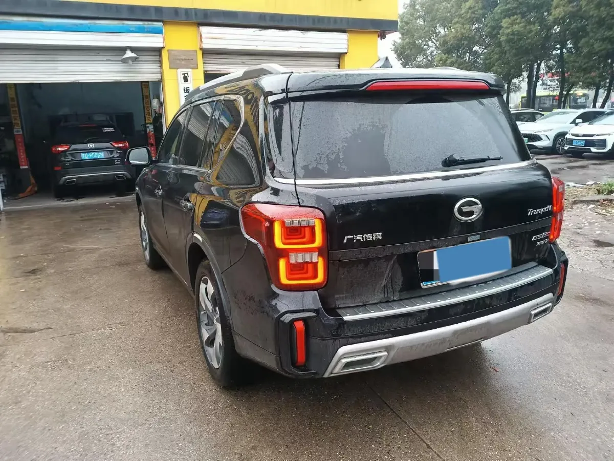 2020 GAC Trumpchi GS8 2.0T 252HP L4 6AT,autocango,china used car exporter,china ev exporter,chinese used car exporter,chinese used ev exporter