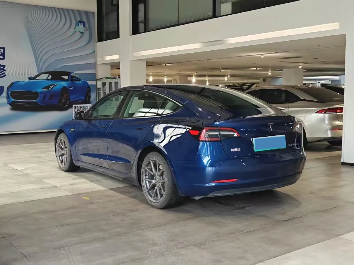 2021 Tesla Model 3 BEV 55KWH,autocango,china used car exporter,china ev exporter,chinese used car exporter,chinese used ev exporter