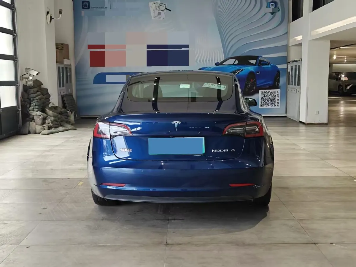 2021 Tesla Model 3 BEV 55KWH,autocango,china used car exporter,china ev exporter,chinese used car exporter,chinese used ev exporter
