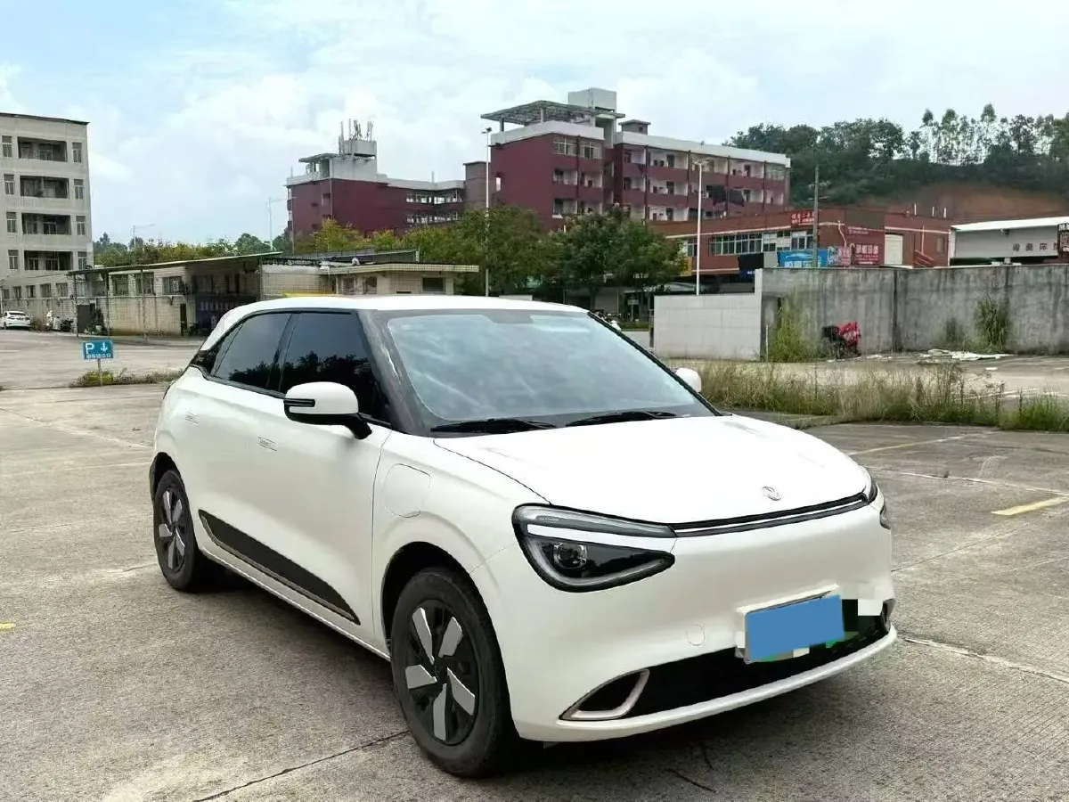 2024 DongFeng eπ 01 BEV 31.45KWH,autocango,china used car exporter,china ev exporter,chinese used car exporter,chinese used ev exporter