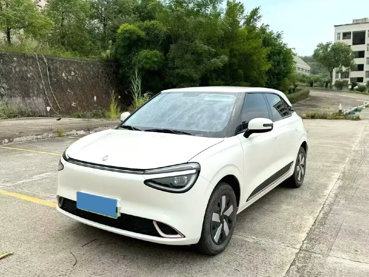 2024 DongFeng eπ 01 BEV 31.45KWH,autocango,china used car exporter,china ev exporter,chinese used car exporter,chinese used ev exporter