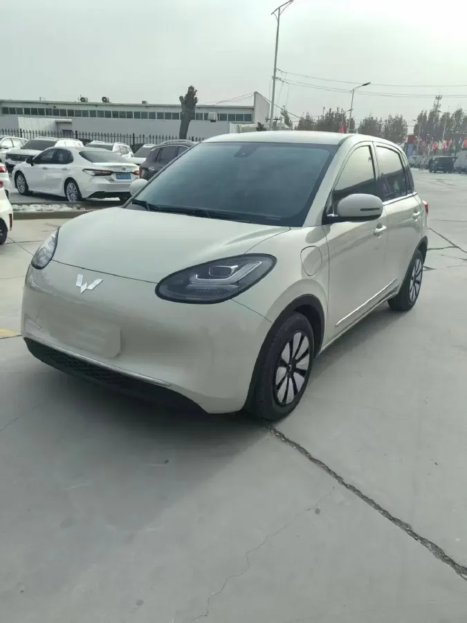 2023 WuLing BinGuo BEV 17.3KWH,autocango,china used car exporter,china ev exporter,chinese used car exporter,chinese used ev exporter