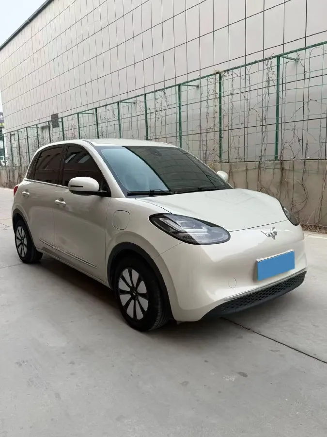 2023 WuLing BinGuo BEV 17.3KWH,autocango,china used car exporter,china ev exporter,chinese used car exporter,chinese used ev exporter