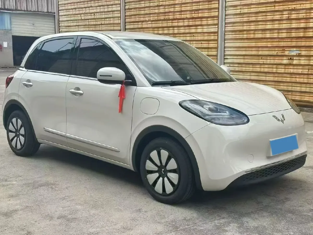 2023 WuLing BinGuo BEV 17.3KWH,autocango,china used car exporter,china ev exporter,chinese used car exporter,chinese used ev exporter