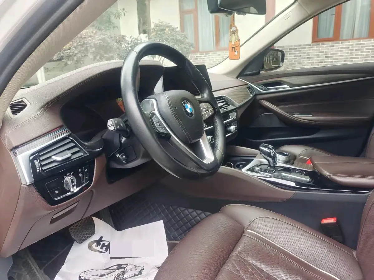 2020 BMW 5 Series 2.0T 252HP L4 8AT,autocango,china used car exporter,china ev exporter,chinese used car exporter,chinese used ev exporter