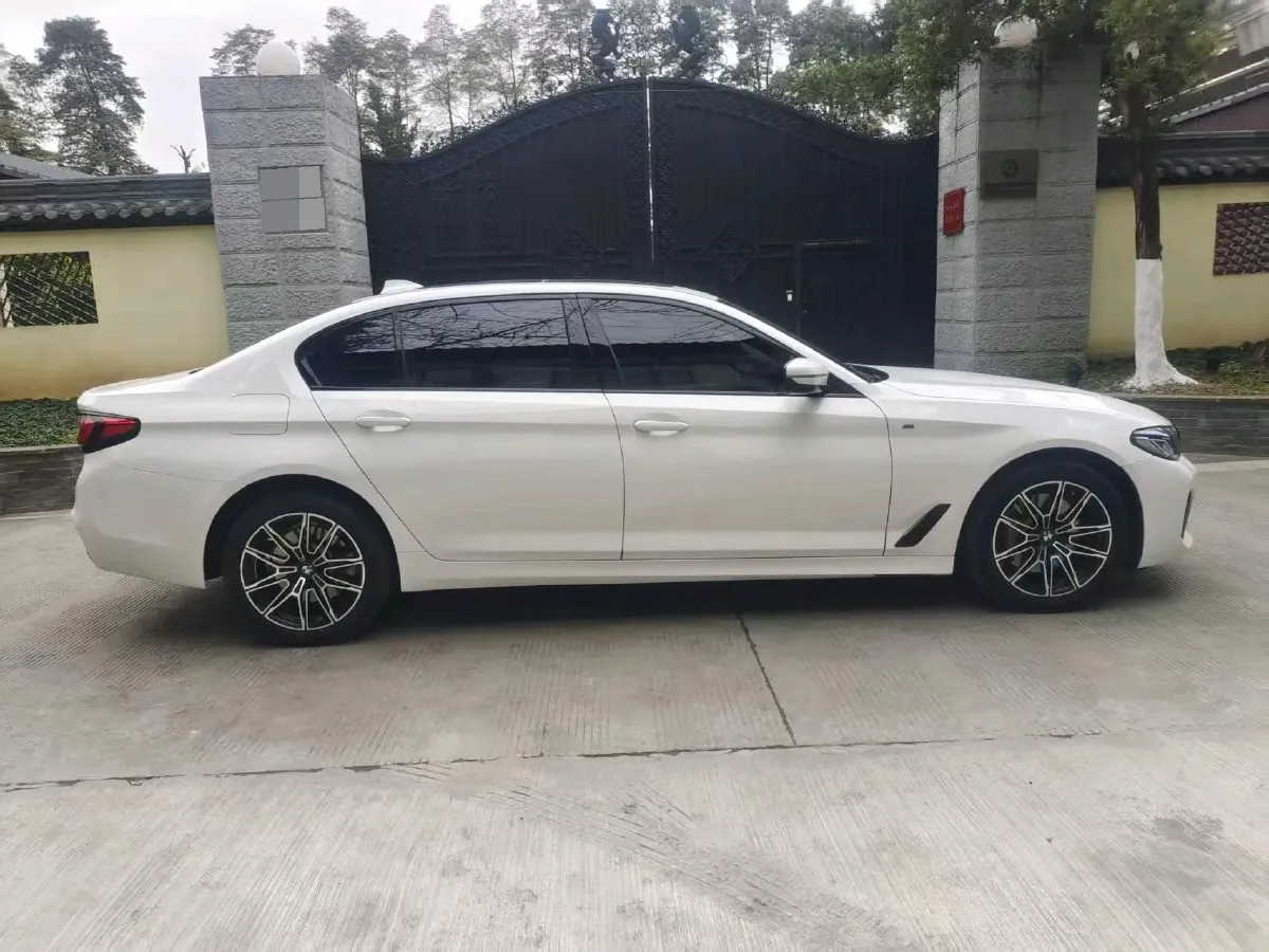 2020 BMW 5 Series 2.0T 252HP L4 8AT,autocango,china used car exporter,china ev exporter,chinese used car exporter,chinese used ev exporter