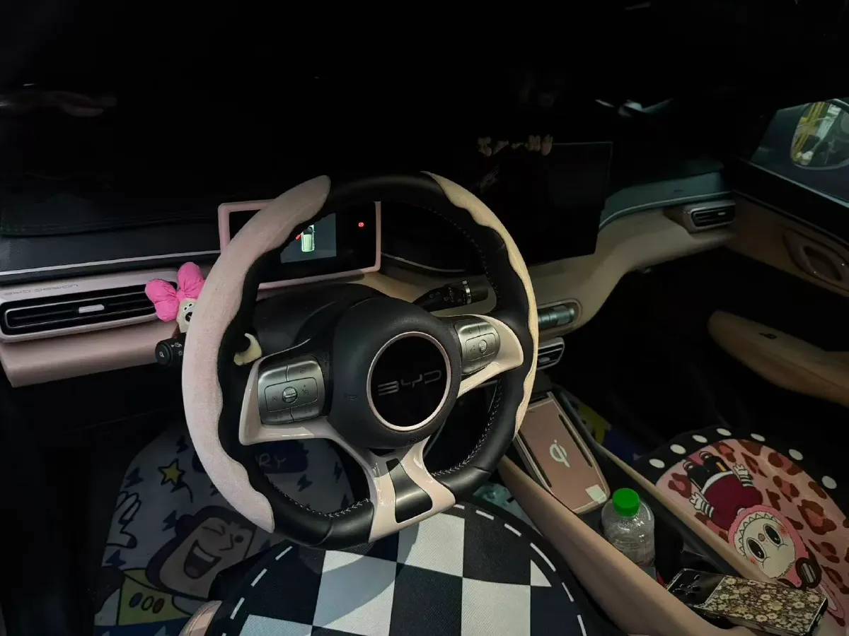 2024 BYD Seagull BEV 38.88KWH,autocango,china used car exporter,china ev exporter,chinese used car exporter,chinese used ev exporter