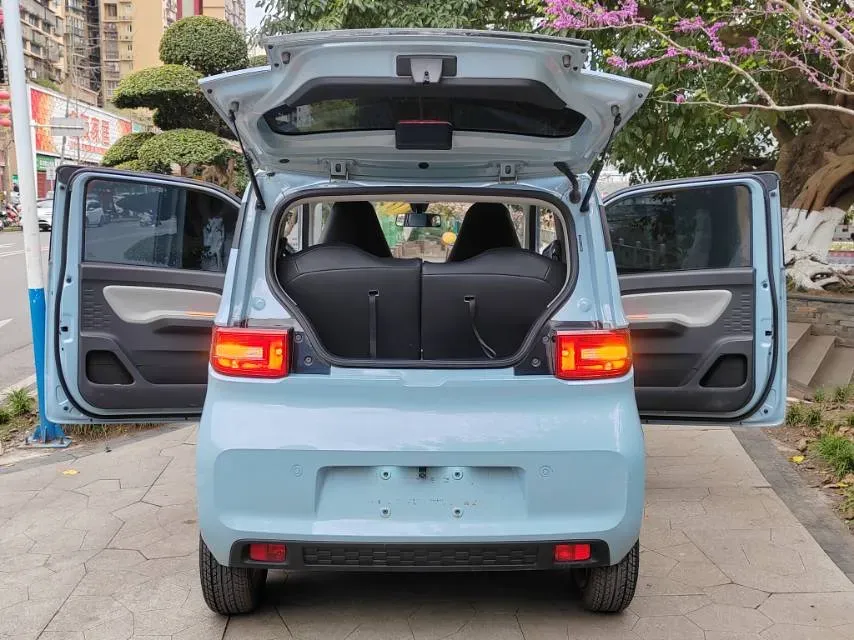 2021 WuLing HongGuang MINI EV BEV 13.8KWH,autocango,china used car exporter,china ev exporter,chinese used car exporter,chinese used ev exporter