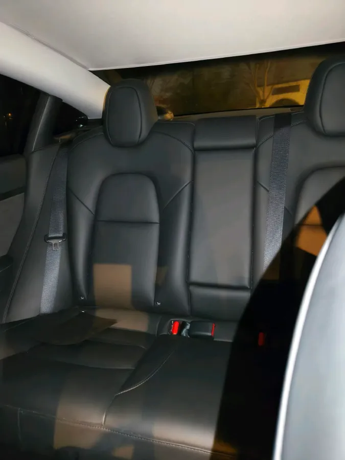 2020 Tesla Model 3 BEV 55KWH,autocango,china used car exporter,china ev exporter,chinese used car exporter,chinese used ev exporter