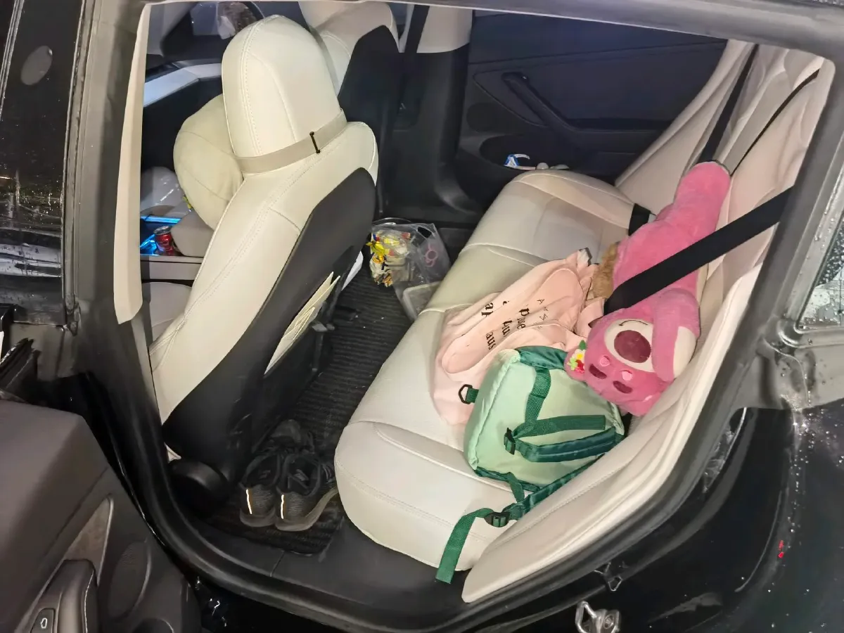 2022 Tesla Model 3 BEV 60KWH,autocango,china used car exporter,china ev exporter,chinese used car exporter,chinese used ev exporter