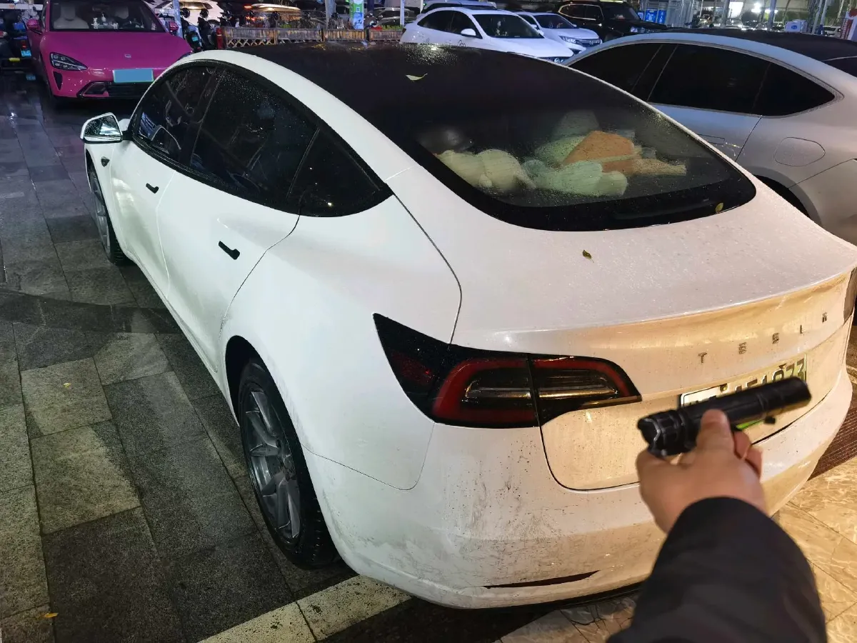 2022 Tesla Model 3 BEV 60KWH,autocango,china used car exporter,china ev exporter,chinese used car exporter,chinese used ev exporter