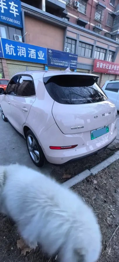 2022 Ora FunkyCat BEV 49.92KWH,autocango,china used car exporter,china ev exporter,chinese used car exporter,chinese used ev exporter