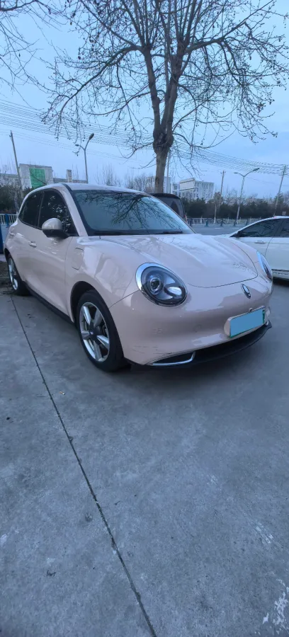 2022 Ora FunkyCat BEV 49.92KWH,autocango,china used car exporter,china ev exporter,chinese used car exporter,chinese used ev exporter