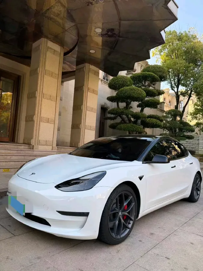 2021 Tesla Model 3 BEV 76.8KWH,autocango,china used car exporter,china ev exporter,chinese used car exporter,chinese used ev exporter