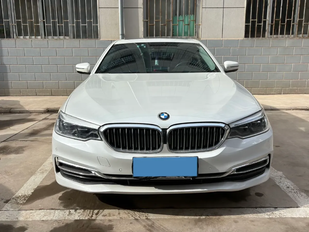 2020 BMW 5 Series 2.0T 252HP L4 8AT,autocango,china used car exporter,china ev exporter,chinese used car exporter,chinese used ev exporter