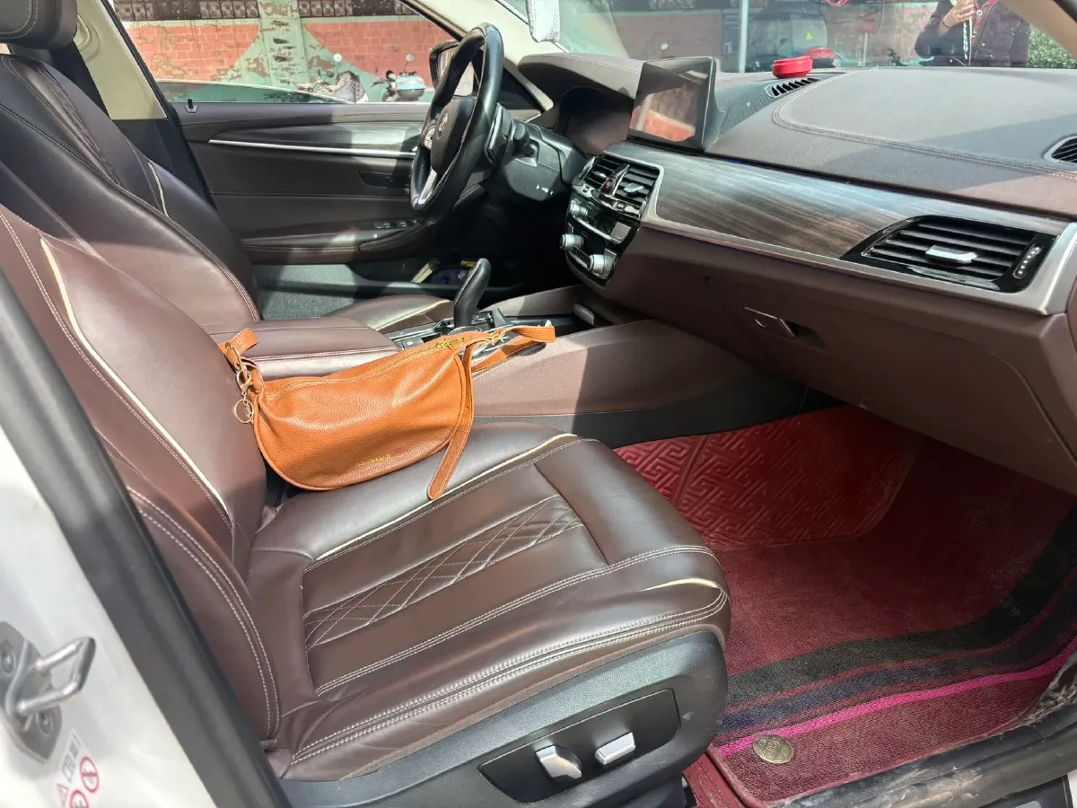 2020 BMW 5 Series 2.0T 252HP L4 8AT,autocango,china used car exporter,china ev exporter,chinese used car exporter,chinese used ev exporter