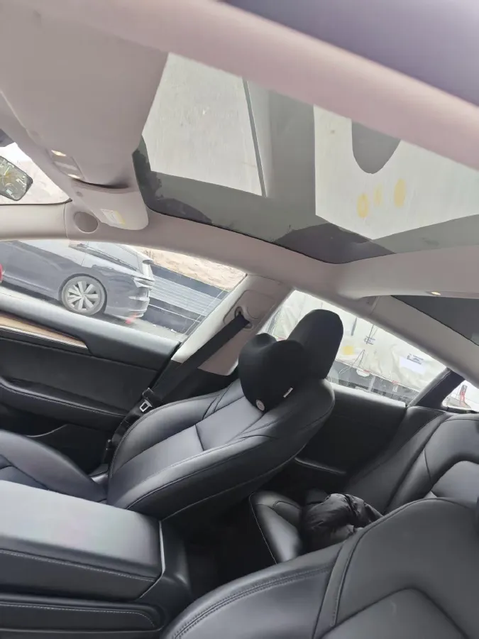 2021 Tesla Model 3 BEV 55KWH,autocango,china used car exporter,china ev exporter,chinese used car exporter,chinese used ev exporter
